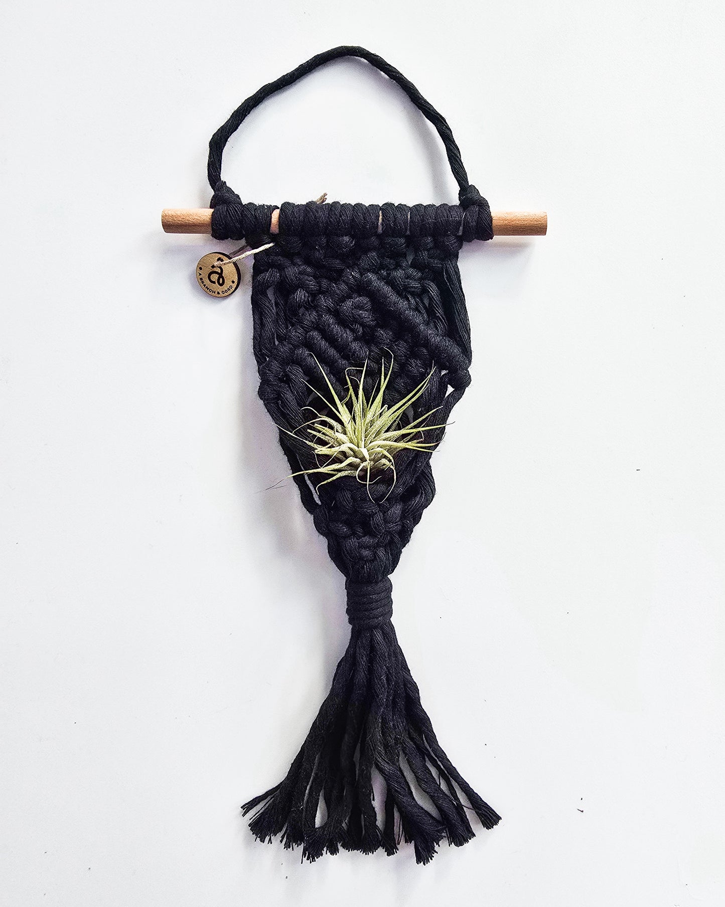 Macrame Air Plant Hanger