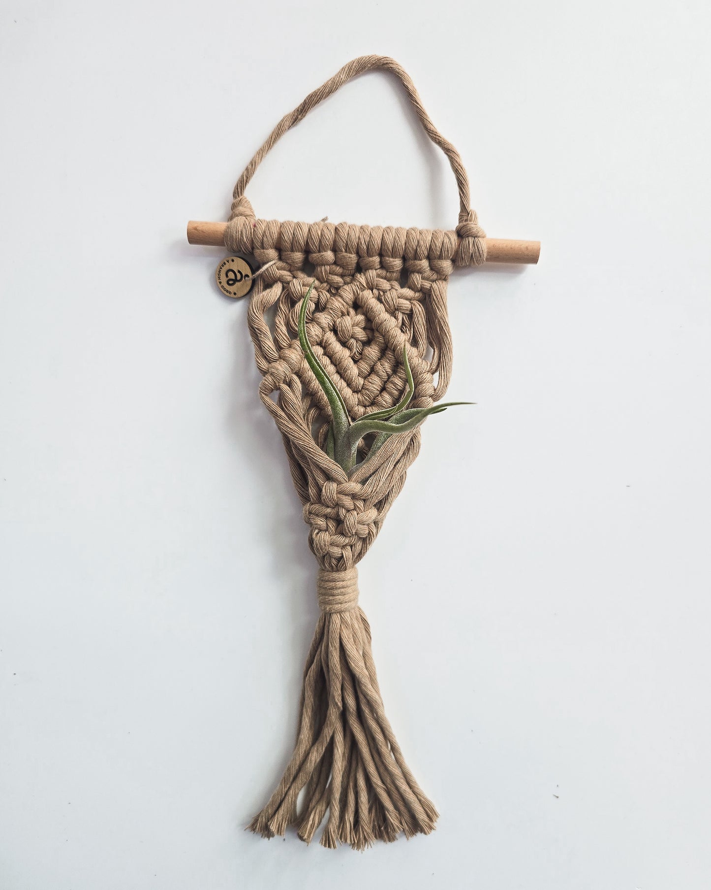 macrame jute plant hanger Macrame Air Plant Hanger – A Branch & Cord