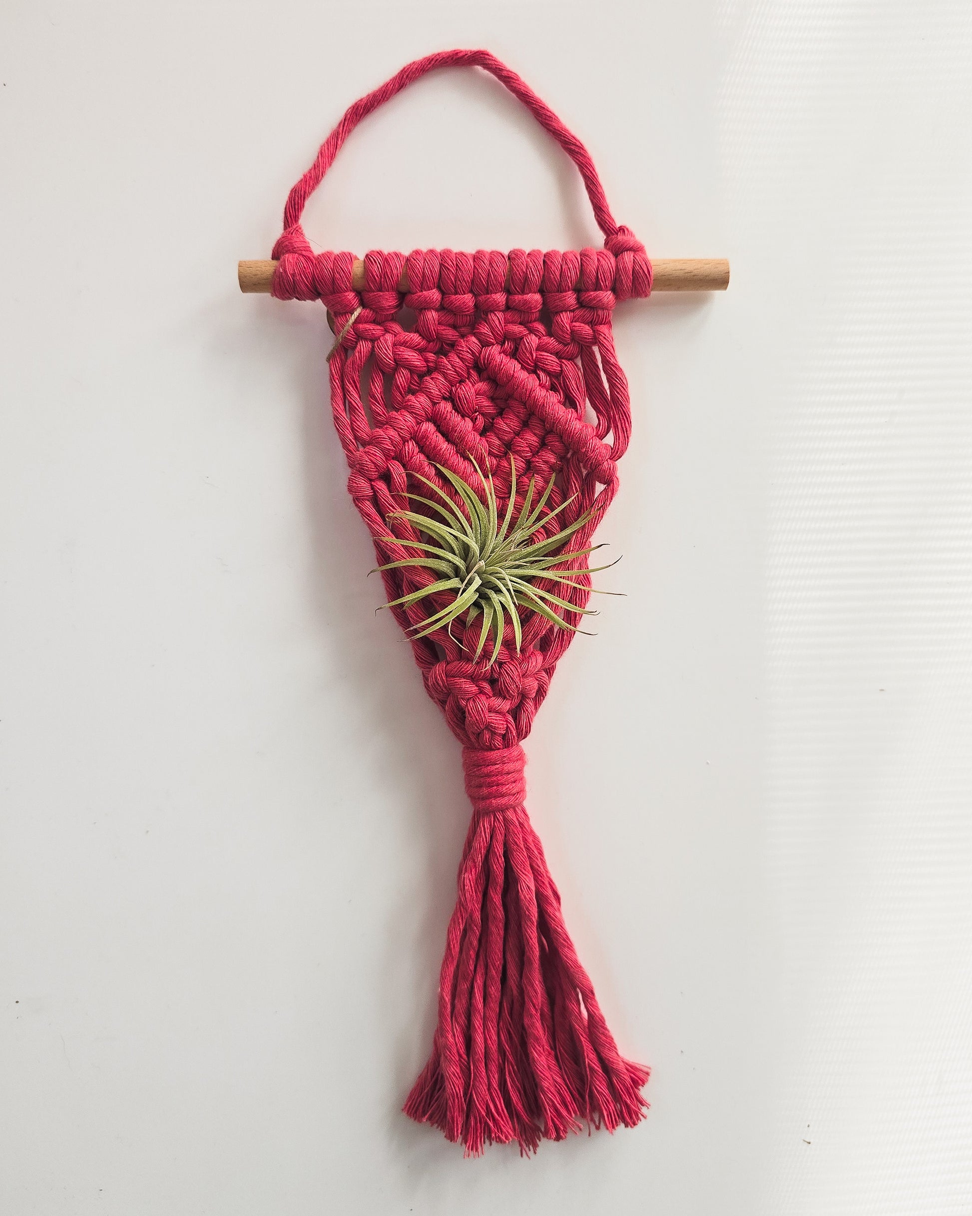 wool macrame plant hanger Macrame Air Plant Hanger – A Branch & Cord