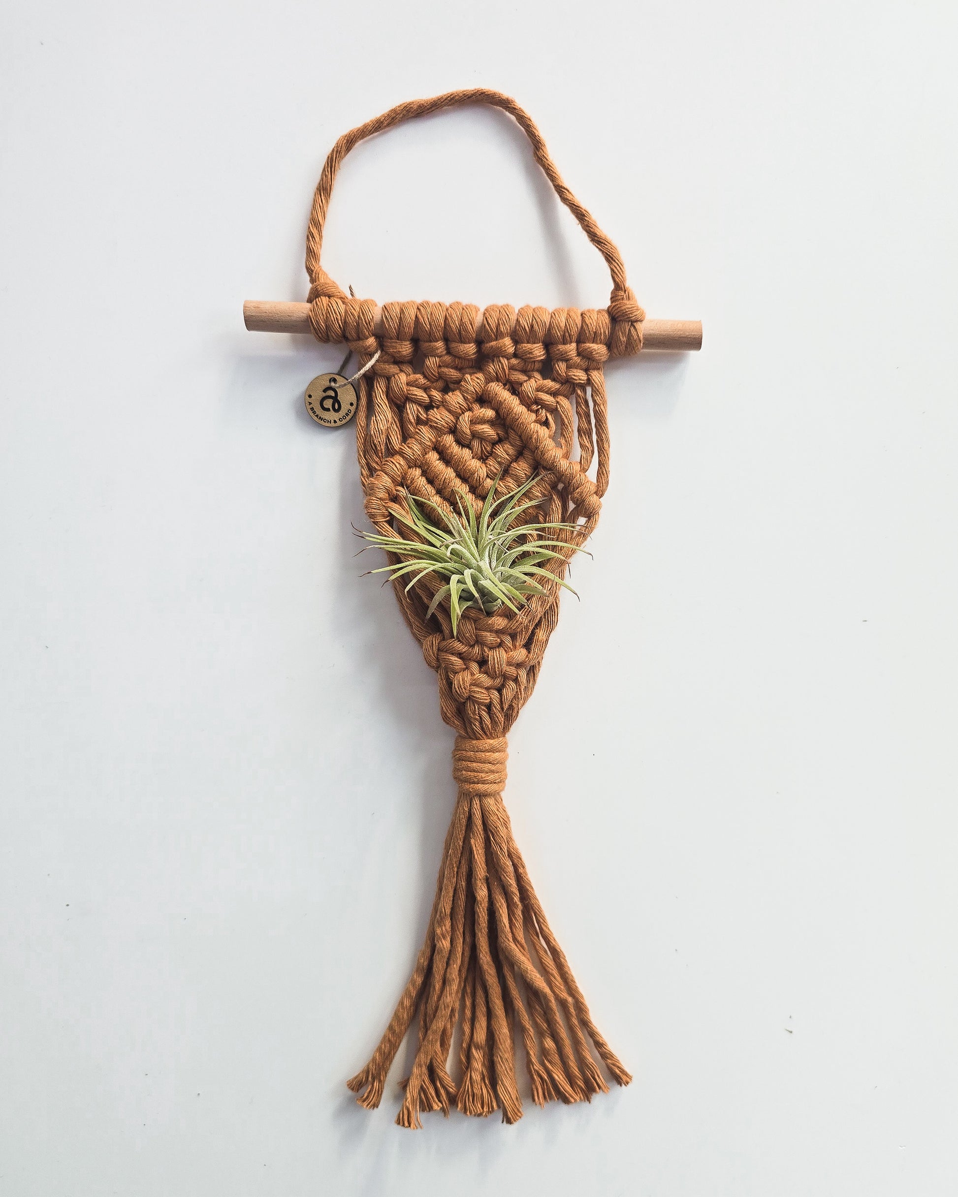 macrame plant hanger cord Macrame Air Plant Hanger – A Branch & Cord