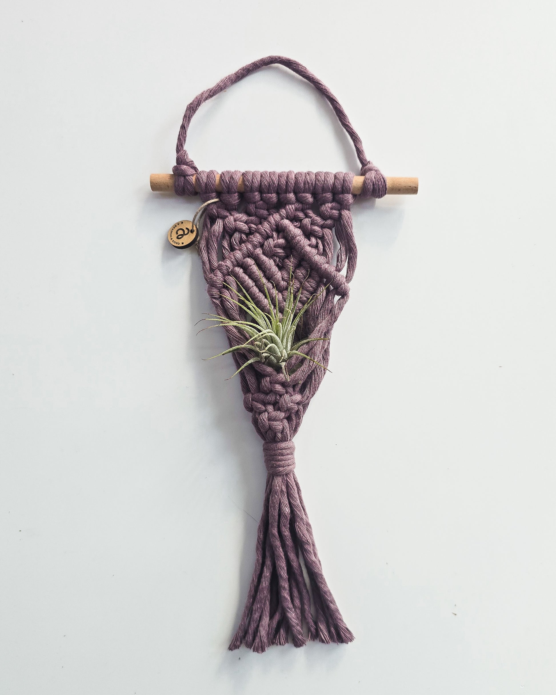 plant hanging rope Macrame Air Plant Hanger Brick / With faux succulent