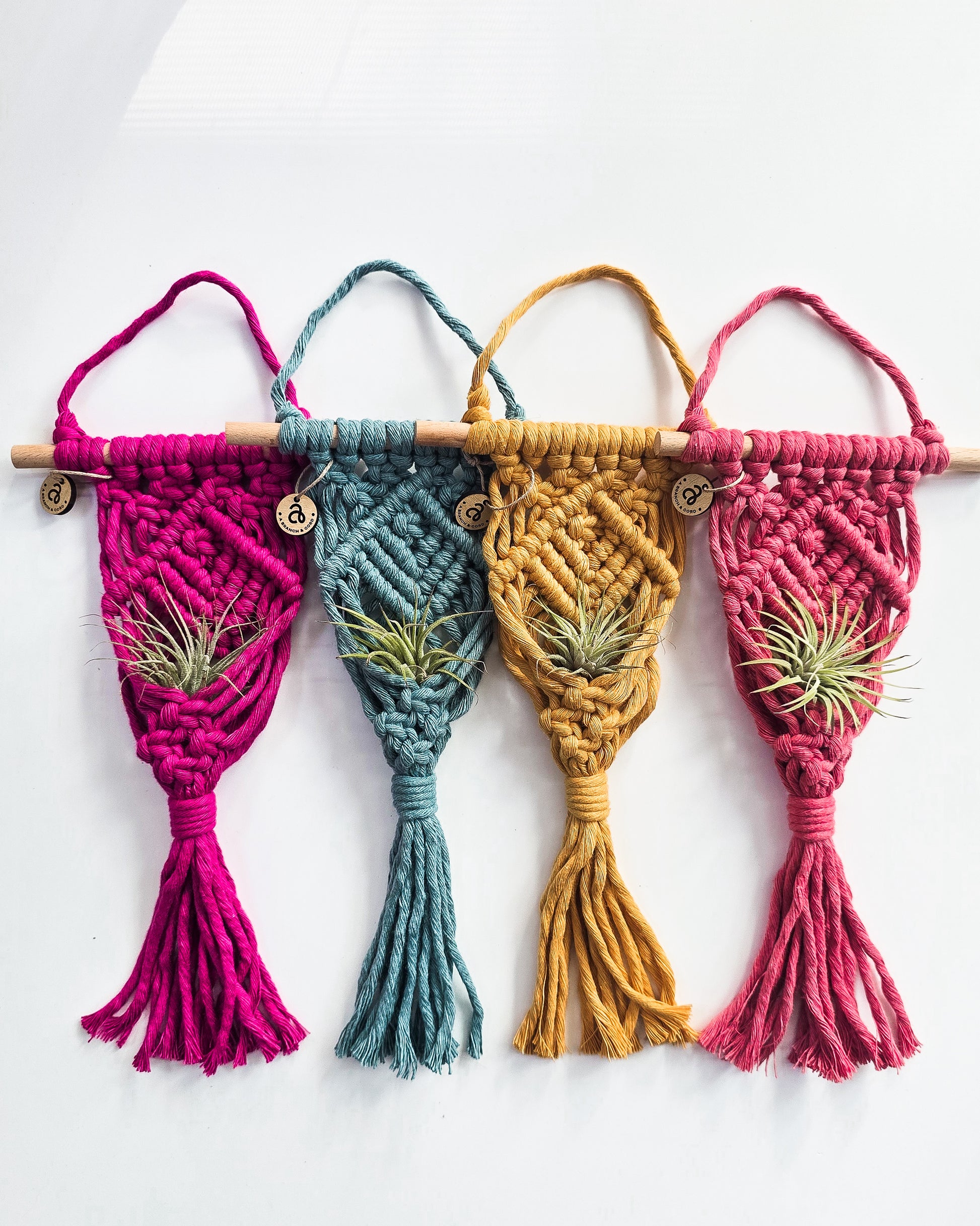 macrame air plant Macrame Air Plant Hanger Black / No Plant