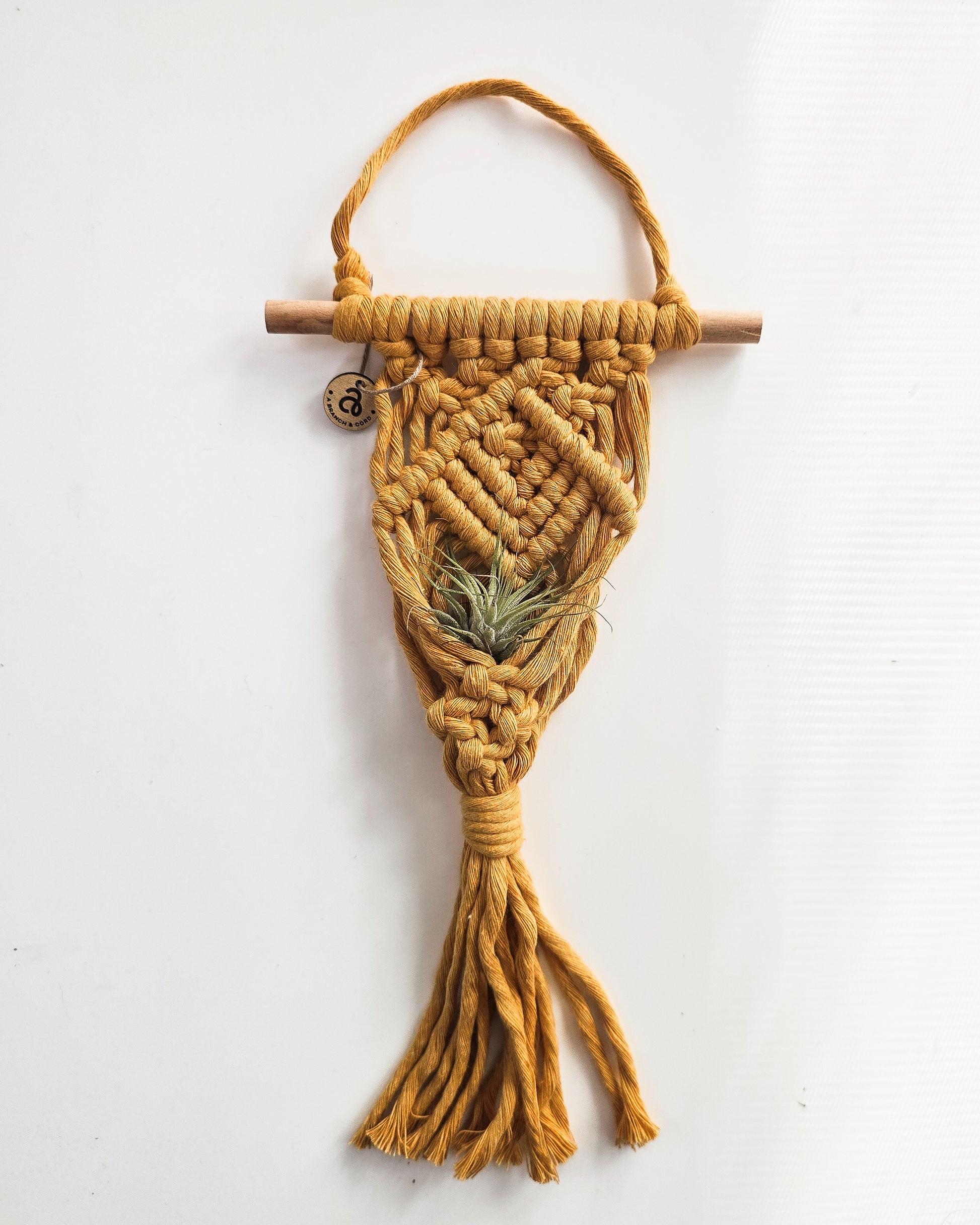 macrame air plant holder Macrame Air Plant Hanger – A Branch & Cord