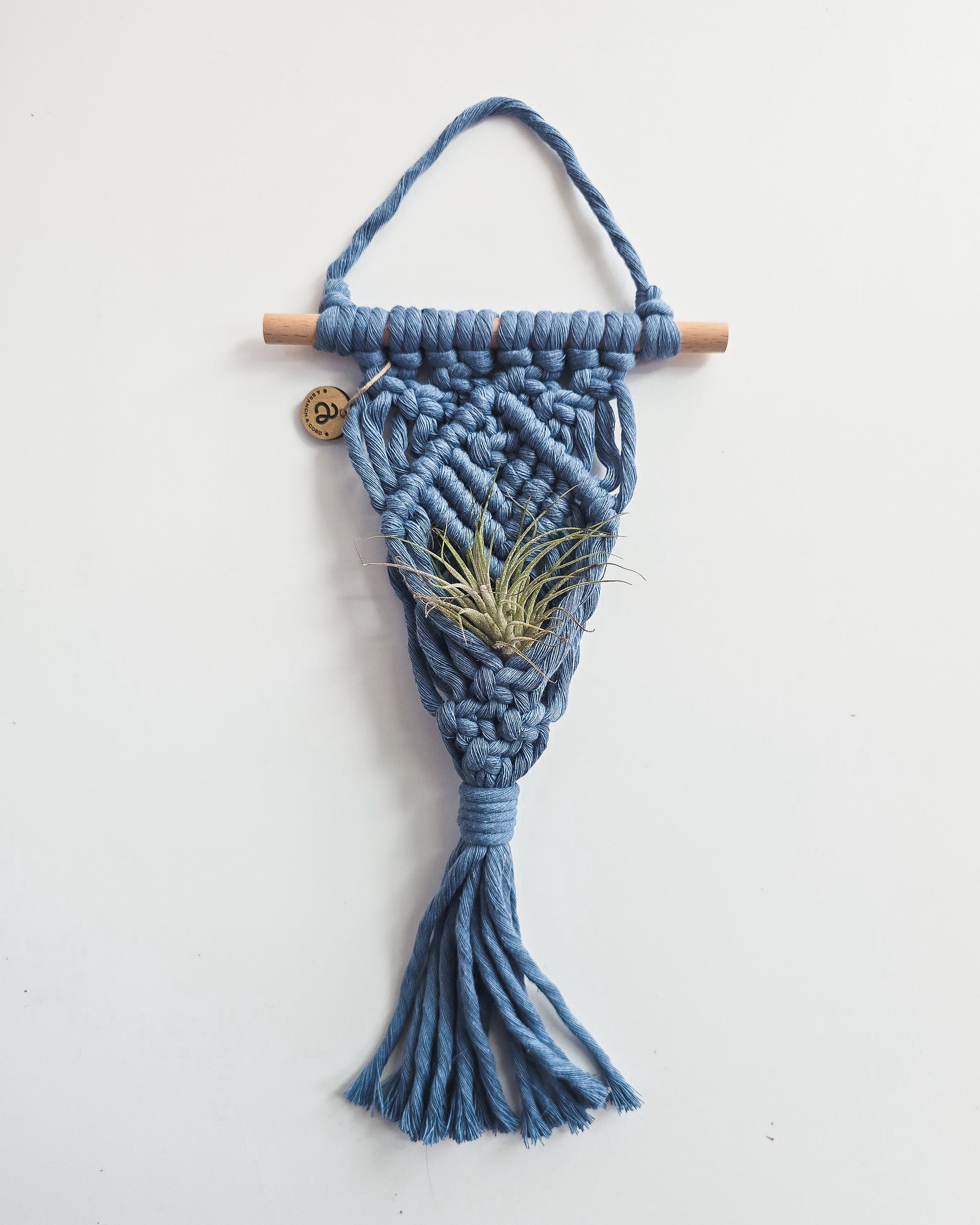 blue macrame plant hanger Macrame Air Plant Hanger Jade / With faux succulent