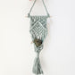 Macrame Air Plant Hanger
