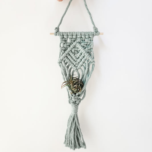 Macrame Air Plant Hanger