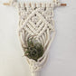 Macrame Air Plant Hanger