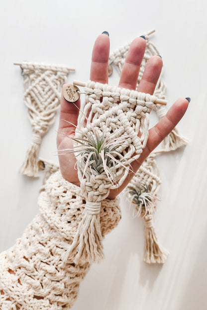 Mini Magnetic Macrame Air Plant Holder