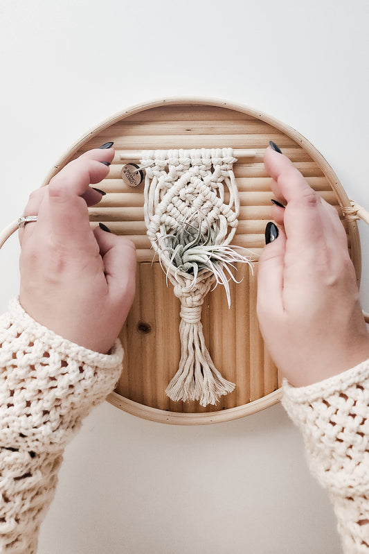 Mini Magnetic Macrame Air Plant Holder