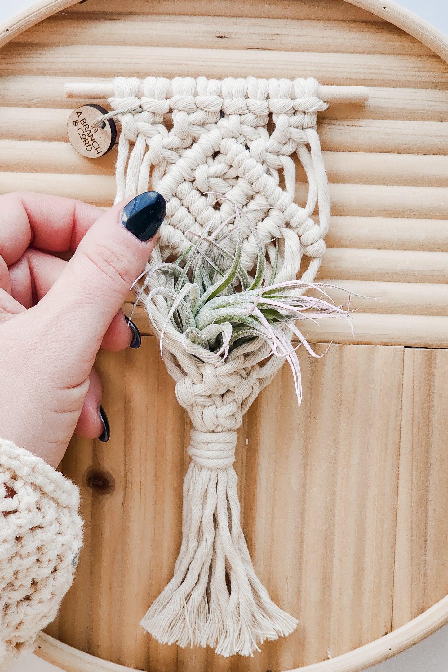 mini macrame air plant hanger tutorial Mini Magnetic Macrame Air Plant Hangers – Handmade Boho Decor – A Branch & Cord