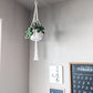 Macrame Hanging Planter