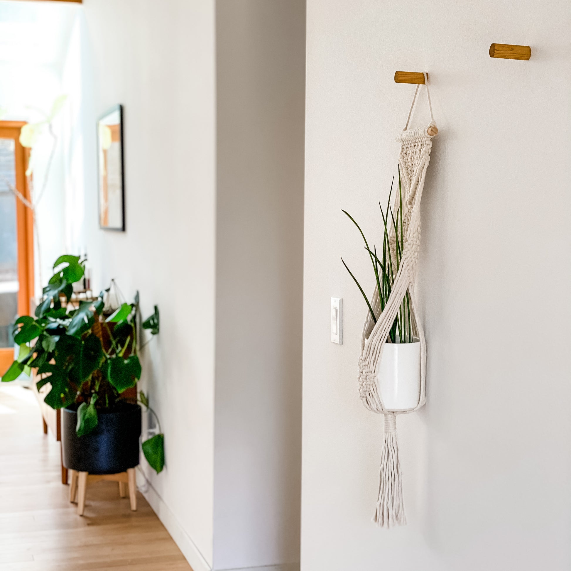 wall hanging planter macrame Macrame Hanging Wall Planter – A Branch & Cord