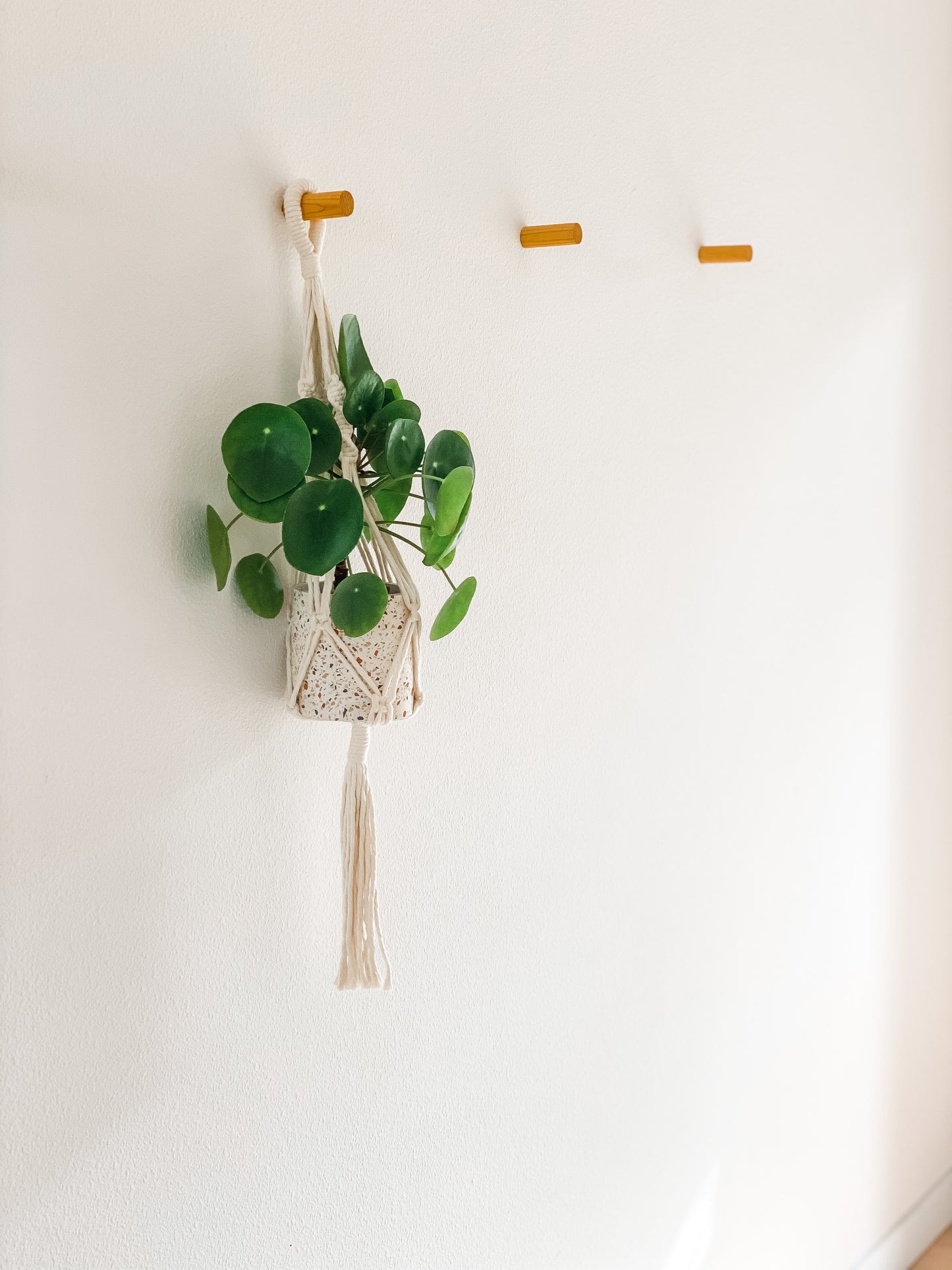 Macrame Hanging Planter