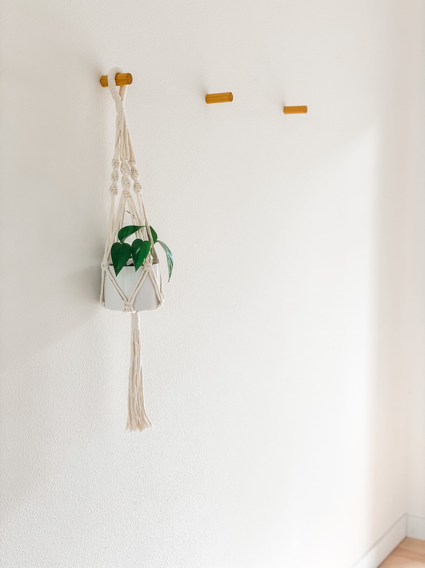 Macrame Hanging Planter