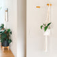 Macrame Hanging Planter