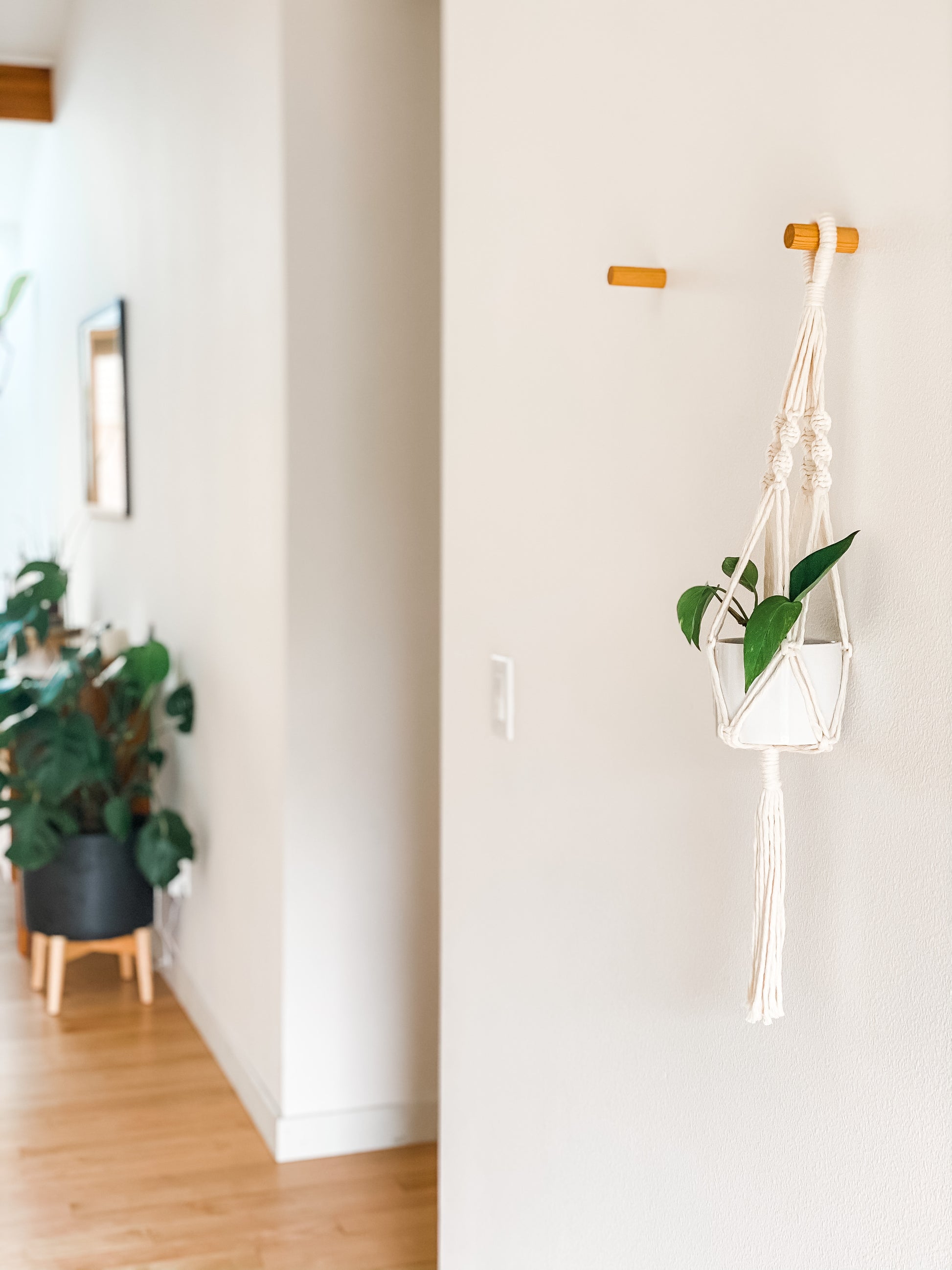 branch plant hanger Macrame Hanging Planter Minx